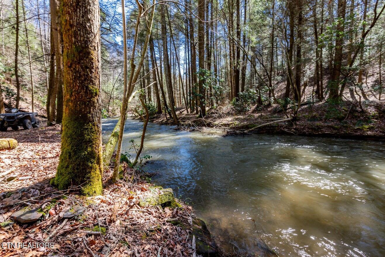 140 Luna Ln Spring Spring City, TN 37381 - Photo 46 of 60 y47