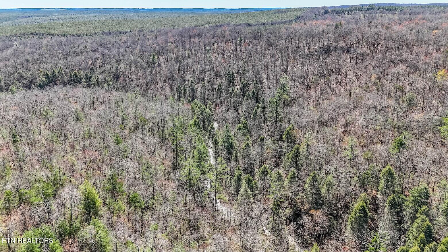 140 Luna Ln Spring Spring City, TN 37381 - Photo 47 of 60 y50