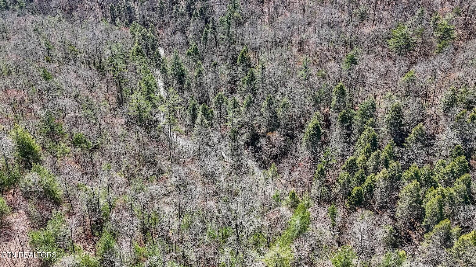 140 Luna Ln Spring Spring City, TN 37381 - Photo 48 of 60 y51