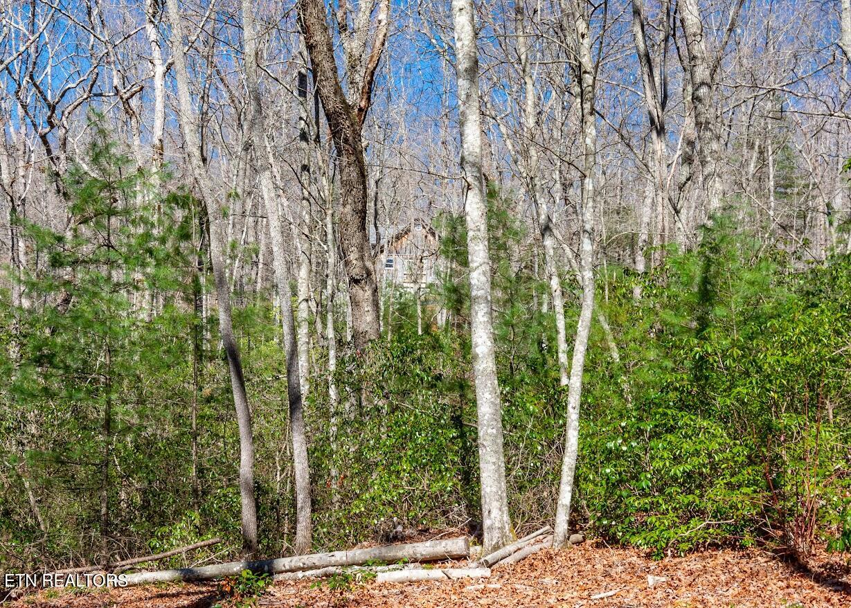 140 Luna Ln Spring Spring City, TN 37381 - Photo 49 of 60 y52