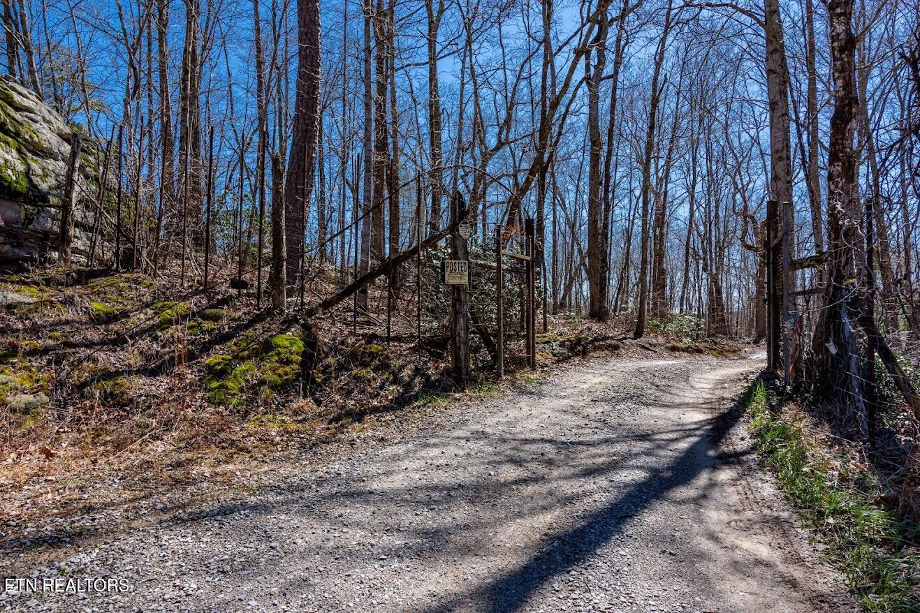 140 Luna Ln Spring Spring City, TN 37381 - Photo 52 of 60 y55