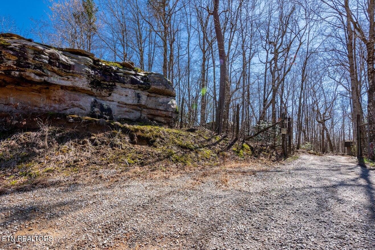 140 Luna Ln Spring Spring City, TN 37381 - Photo 53 of 59 y54