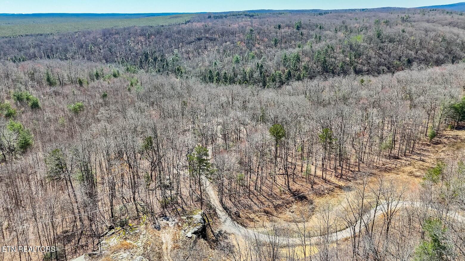 140 Luna Ln Spring Spring City, TN 37381 - Photo 60 of 60 y73