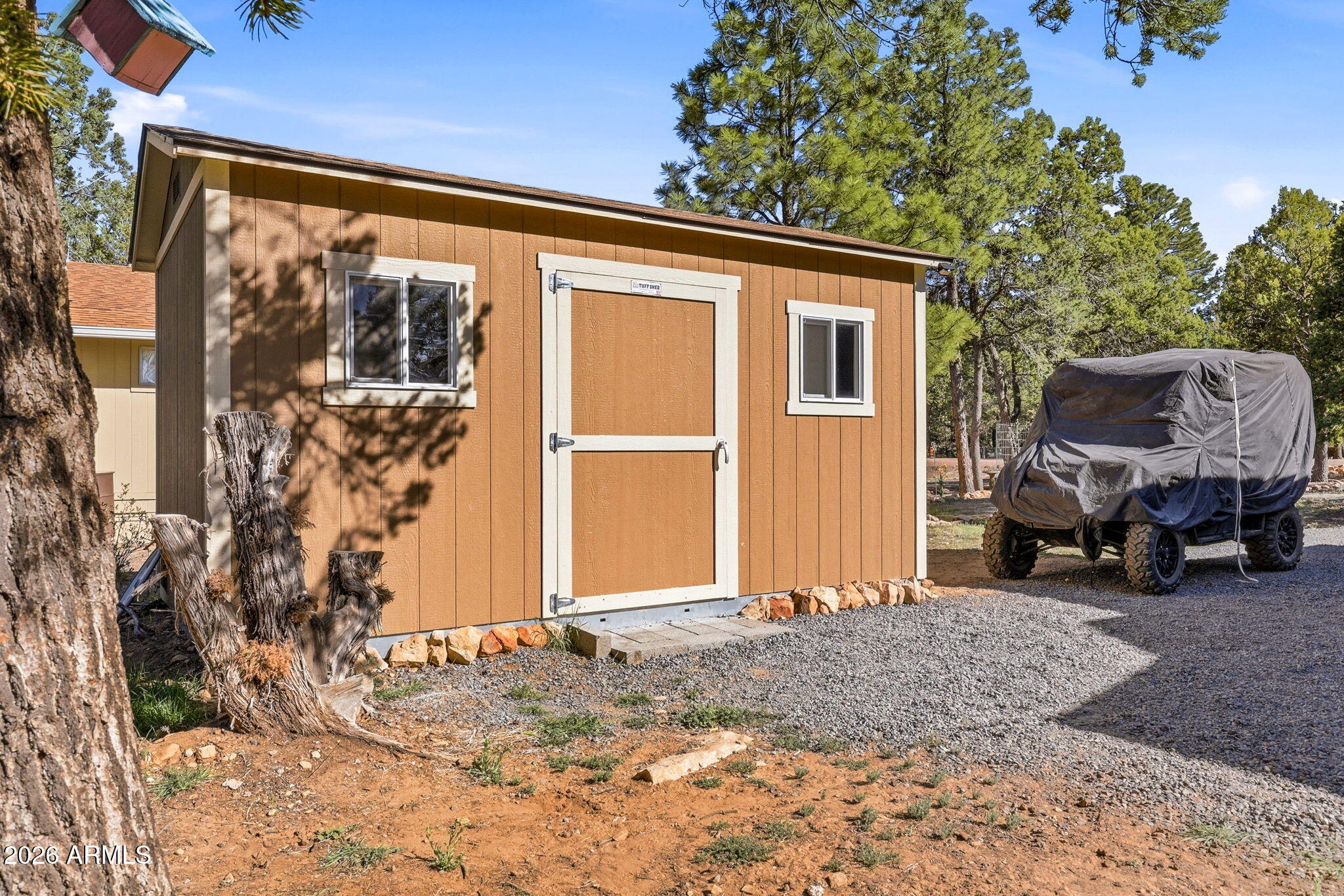2112 Fishermans Road Overgaard, AZ 85933 - Photo 14 of 18 a view of backyard with cabin