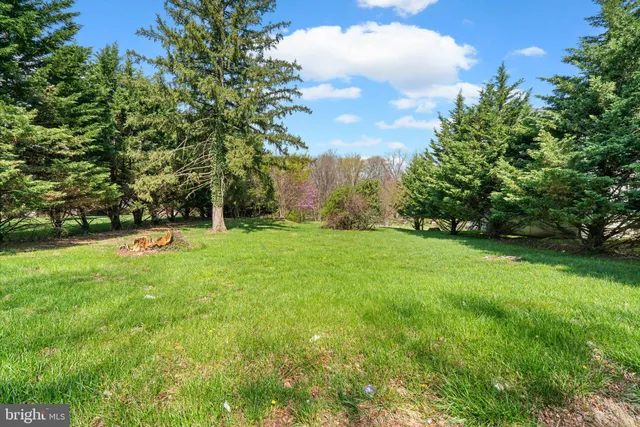 a view of green field