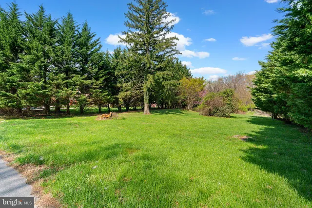 a view of green field