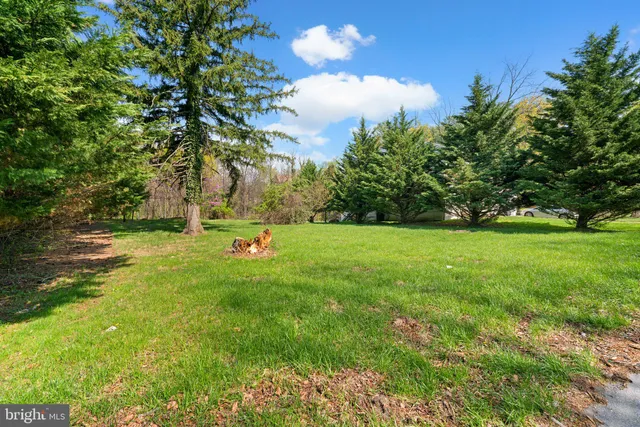 a fire hydrant in the middle of a field