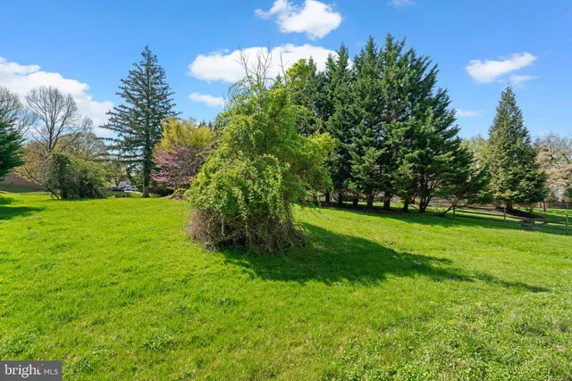 a view of green field with trees in the background