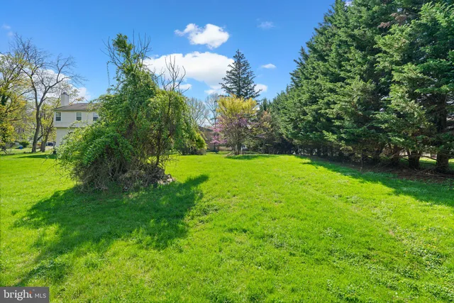 a view of yard with green space