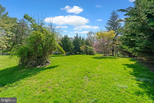 a view of a yard with a fountain