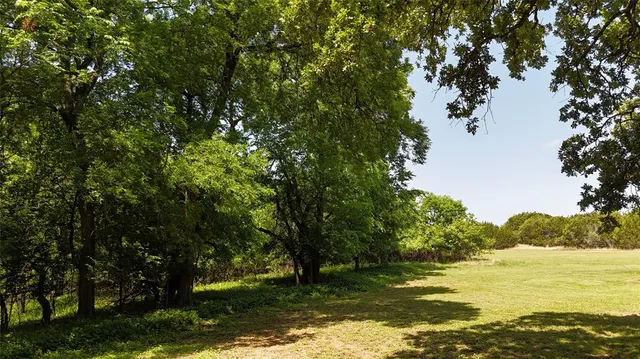 a aerial view of a house with a yard table and trees