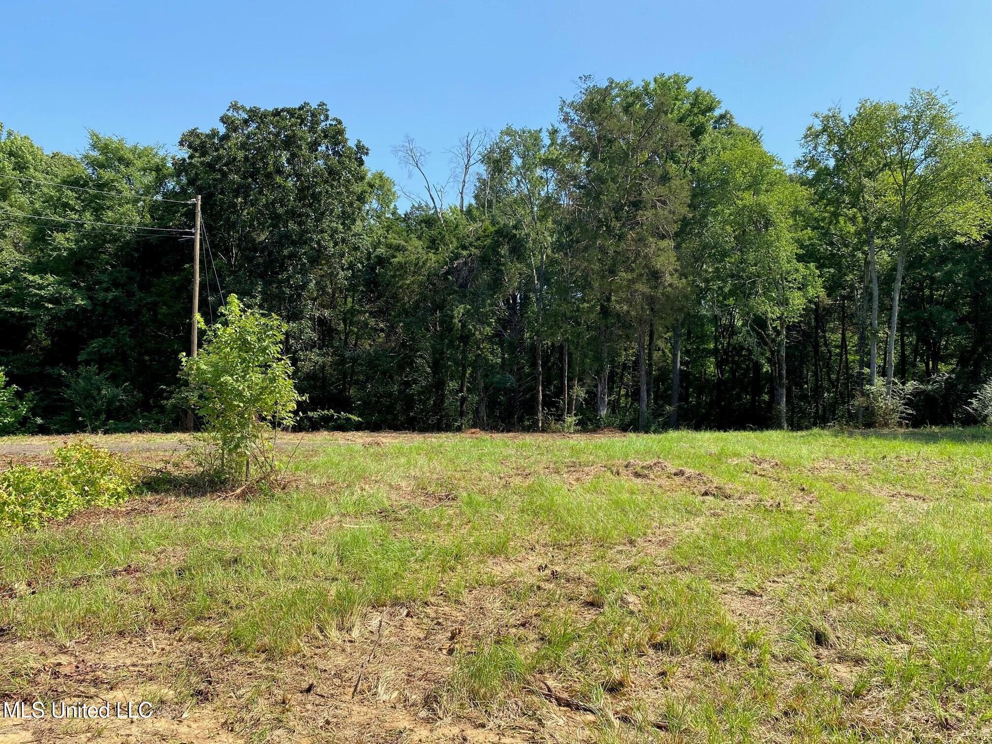 Mt Pleasant Road Byhalia, MS 38611 - Photo 3 of 7 Cleared and Treed Areas