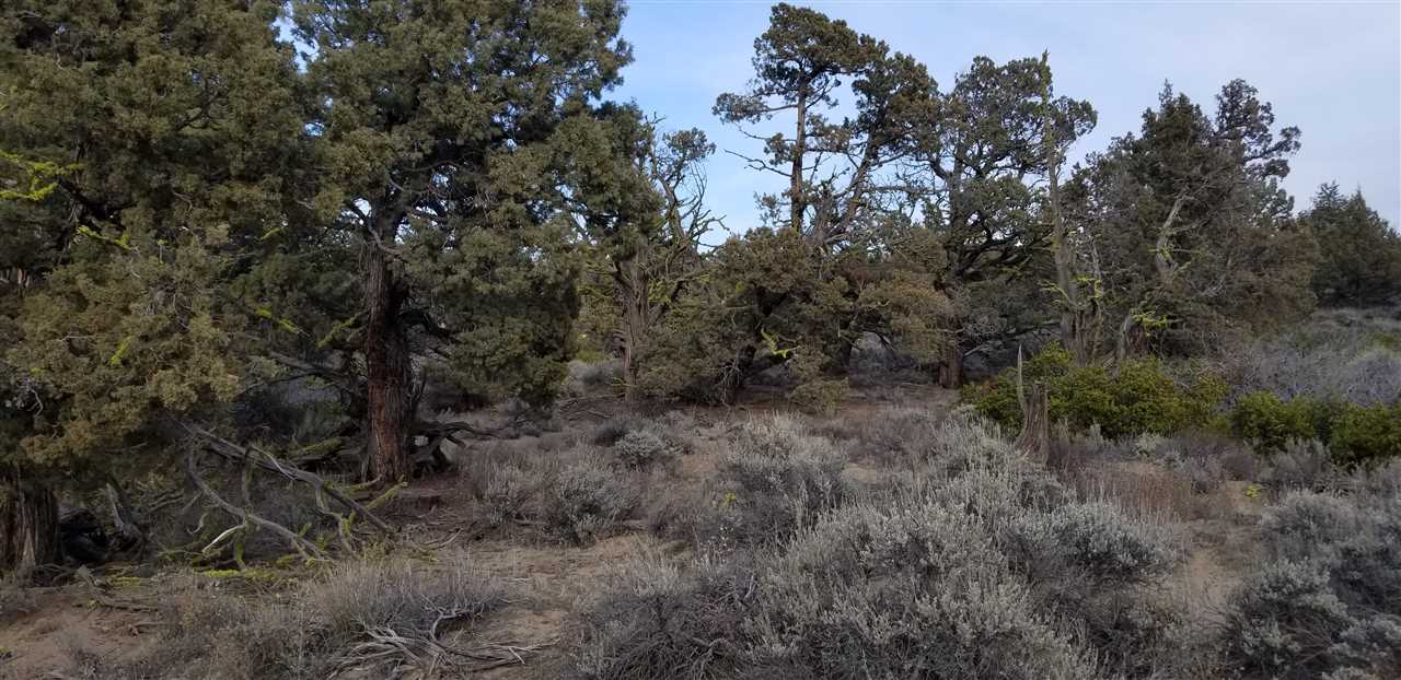 23 Pine Top Road Weed, CA 96094 - Photo 5 of 13 Gallery Image 5
