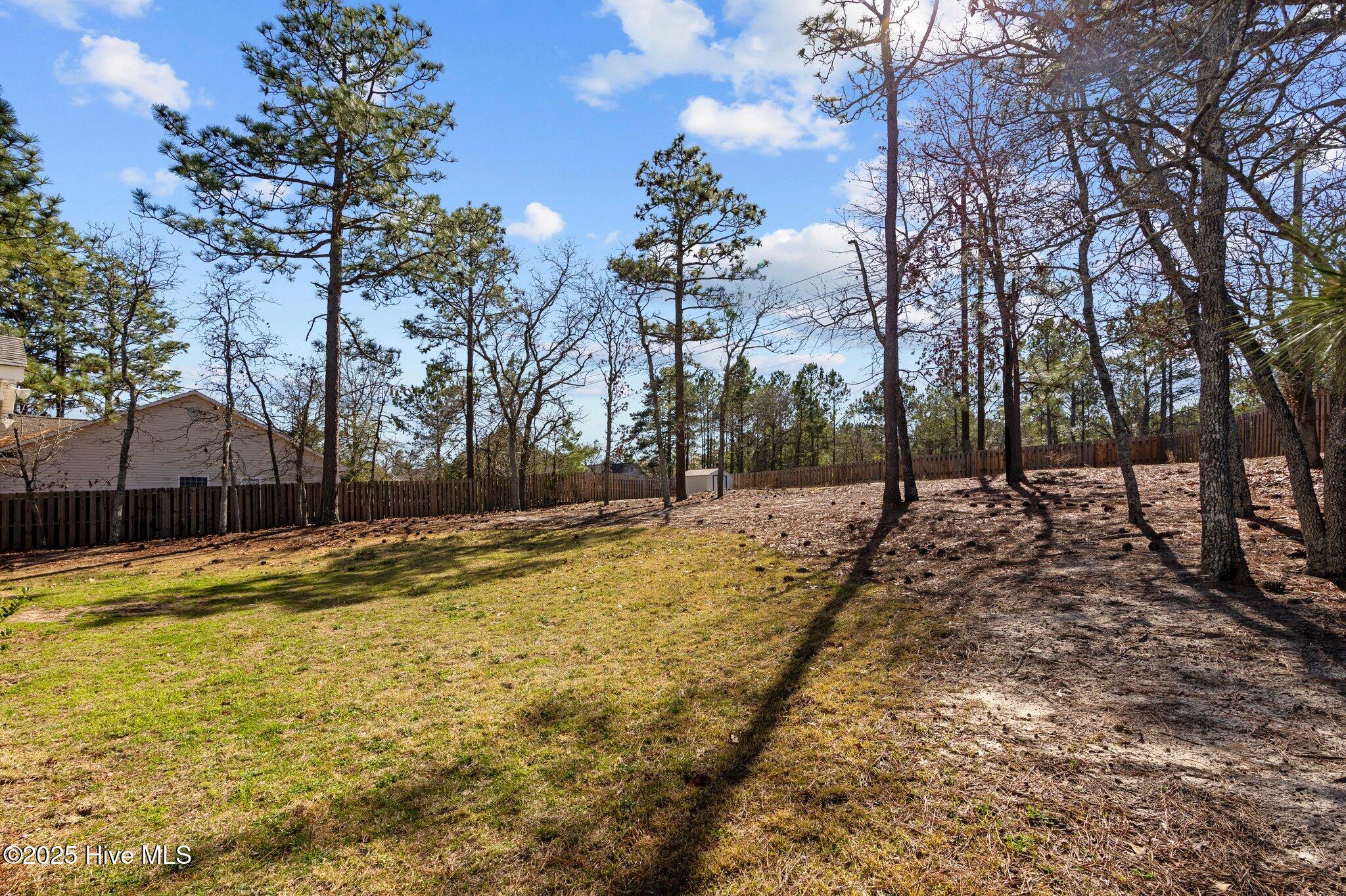 1205 Burning Tree Road Pinehurst, NC 28374 - Photo 30 of 35 Back Yard