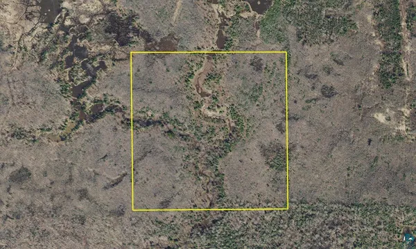 $89,900 | 40-acres Near Blueberry Road, Bayfield, WI 54814