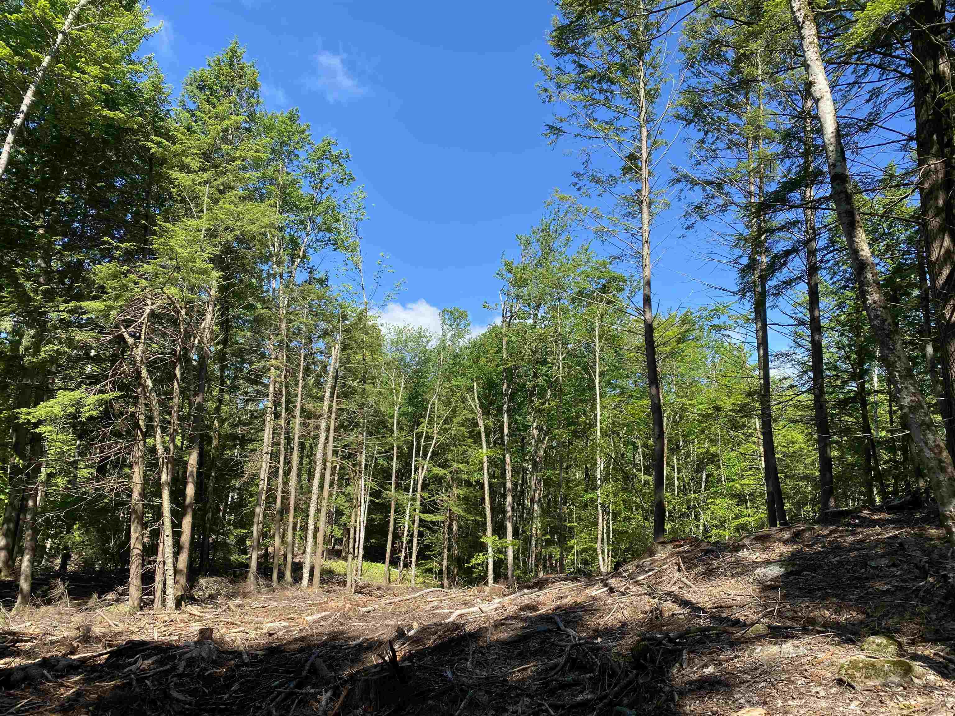 Lot 16-4 Catamount Road Pittsfield, NH 03263 - Photo 14 of 25