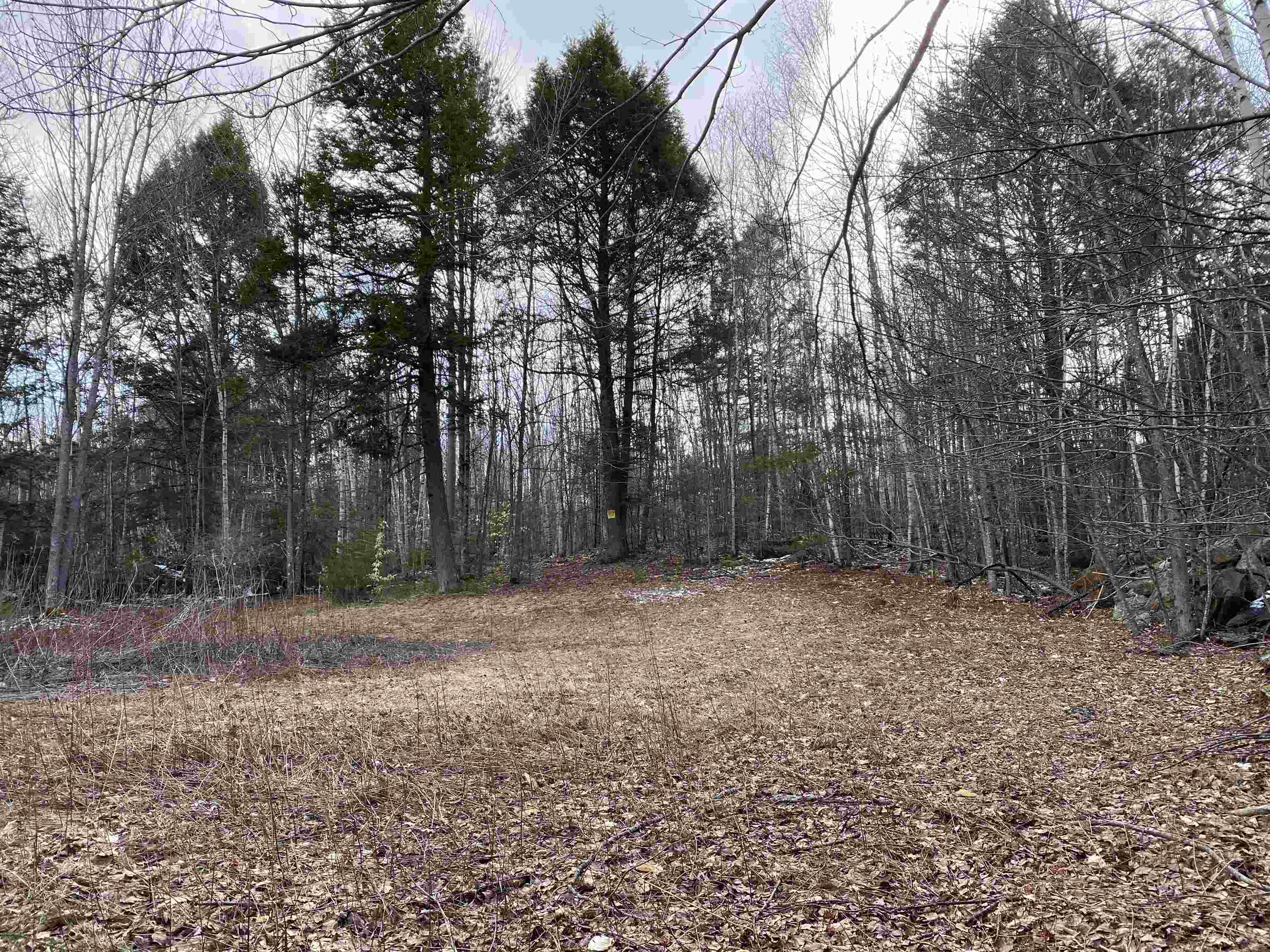 Lot 16-4 Catamount Road Pittsfield, NH 03263 - Photo 19 of 25