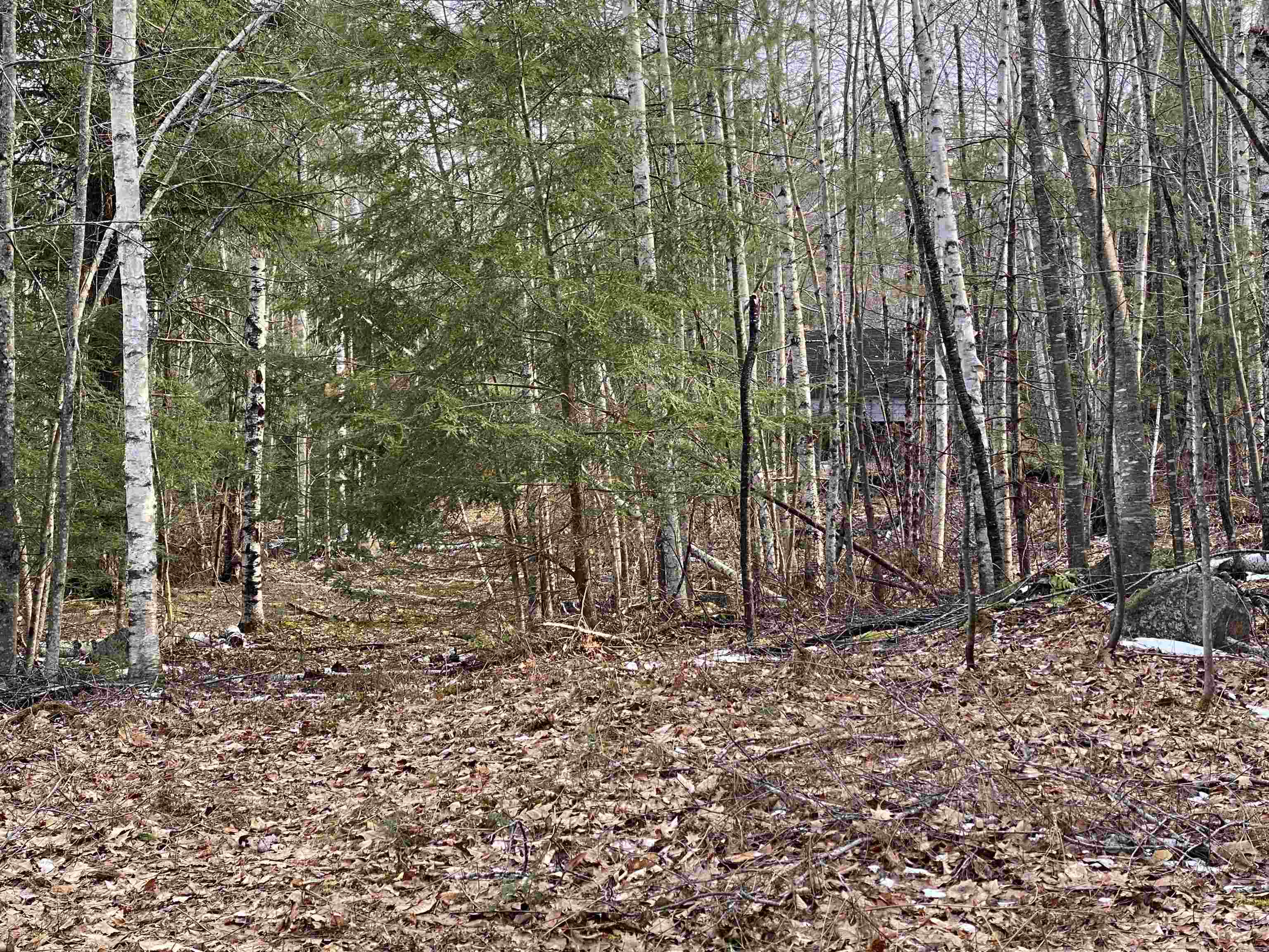 Lot 16-4 Catamount Road Pittsfield, NH 03263 - Photo 23 of 25