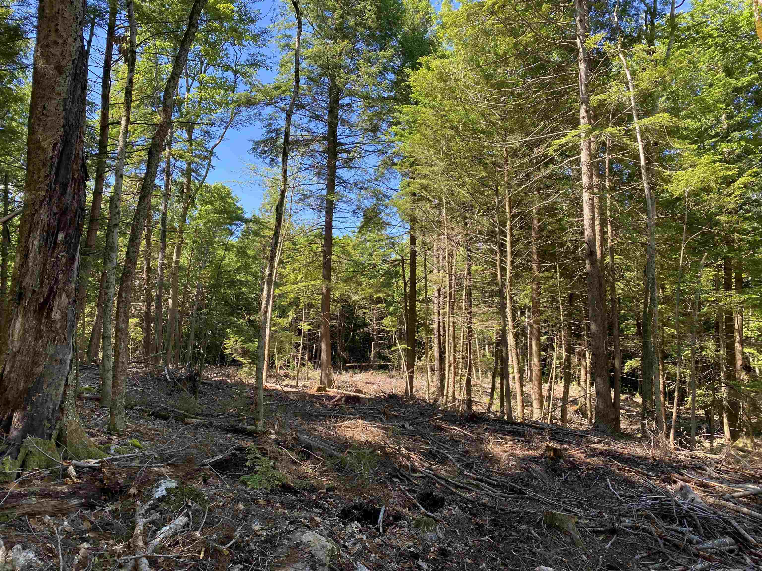 Lot 16-4 Catamount Road Pittsfield, NH 03263 - Photo 3 of 25