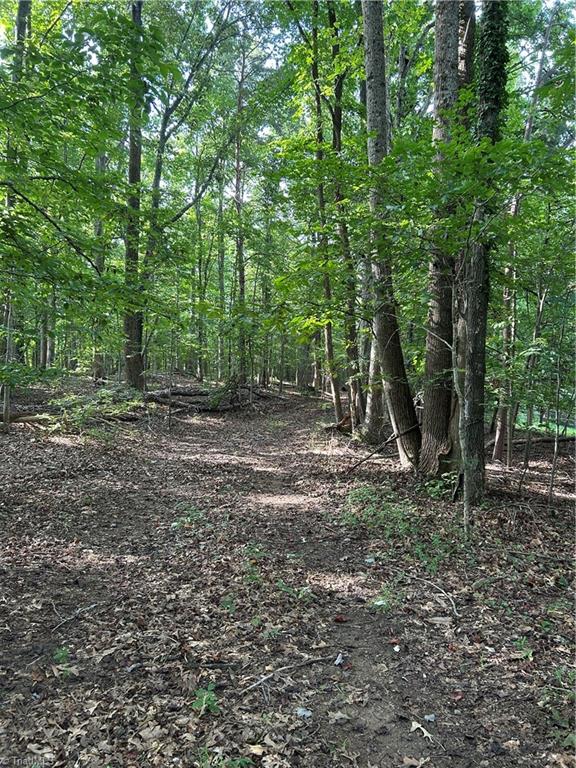 0 Jewell Road Reidsville, NC 27320 - Photo 2 of 7