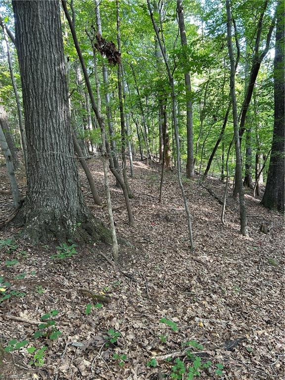 0 Jewell Road Reidsville, NC 27320 - Photo 4 of 7