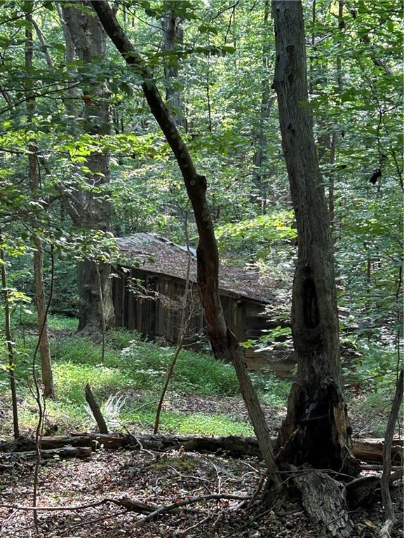 0 Jewell Road Reidsville, NC 27320 - Photo 5 of 7