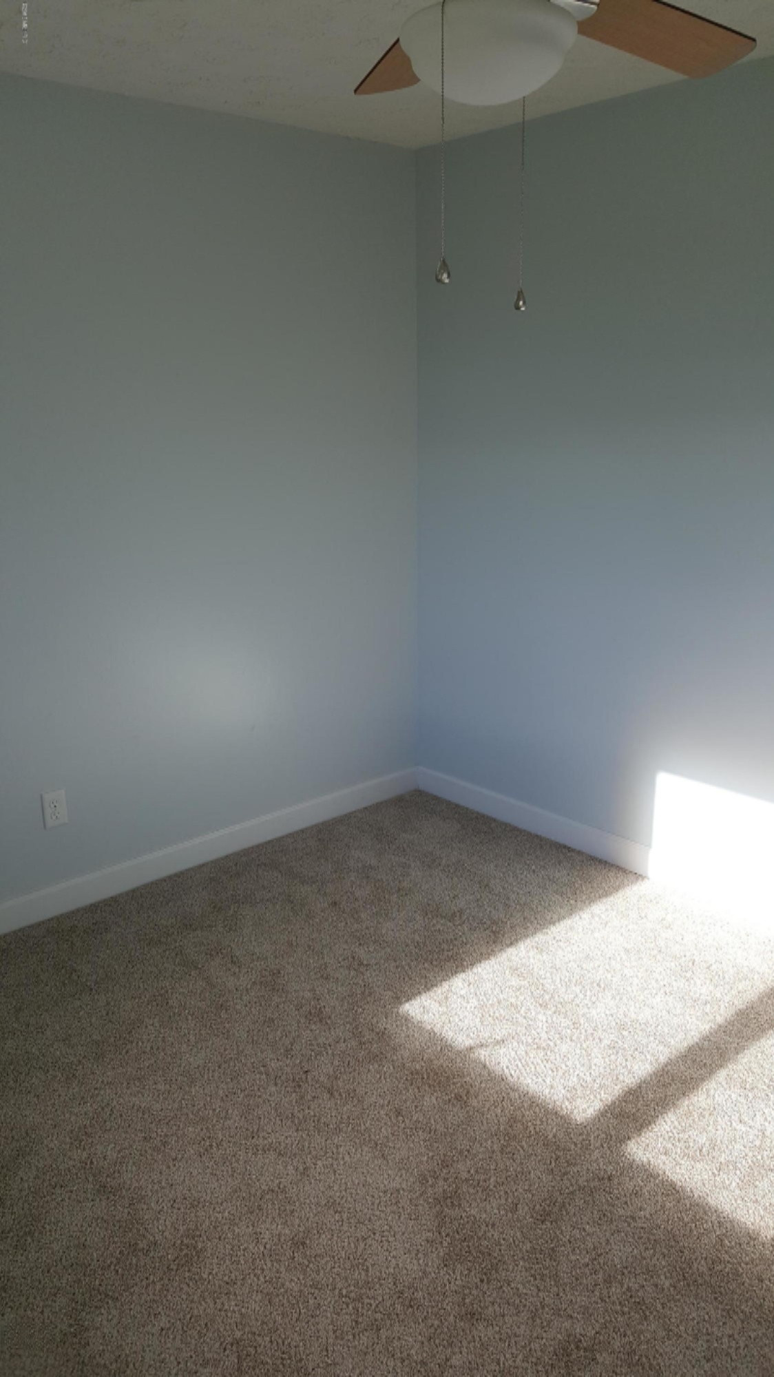 9507 Stanton Road Crystal, MI 48818 - Photo 22 of 40 20181204_123147