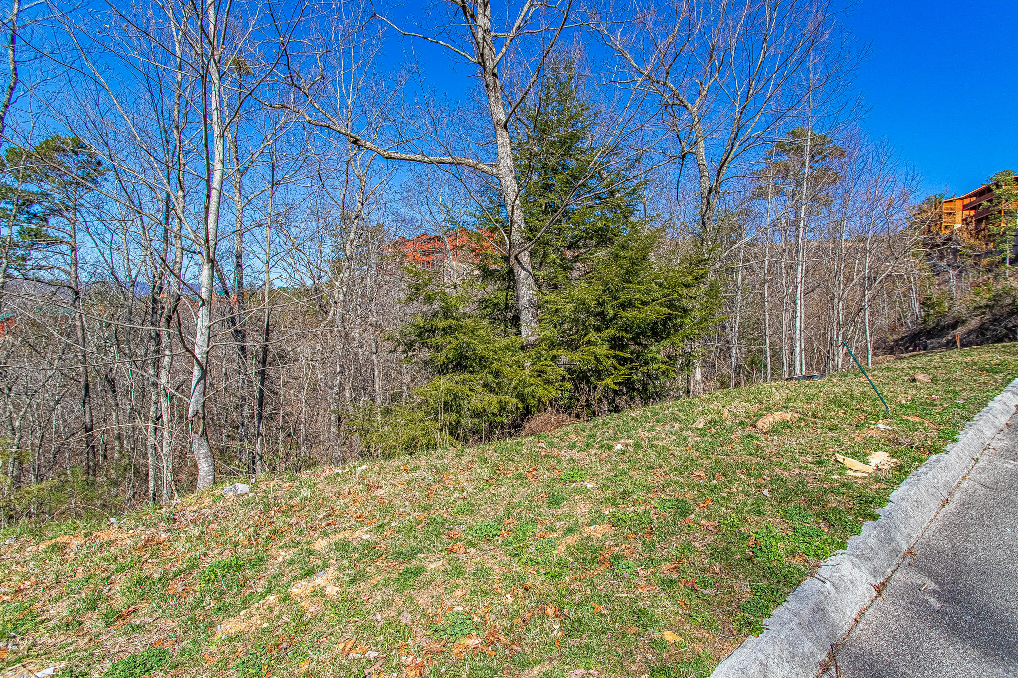 Lot #64 Smoky Ridge Way Sevierville, TN 37862 - Photo 1 of 12 smokymtnridgelot-6