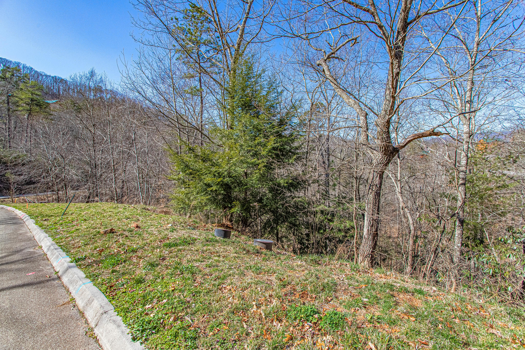 Lot #64 Smoky Ridge Way Sevierville, TN 37862 - Photo 3 of 12 smokymtnridgelot-4
