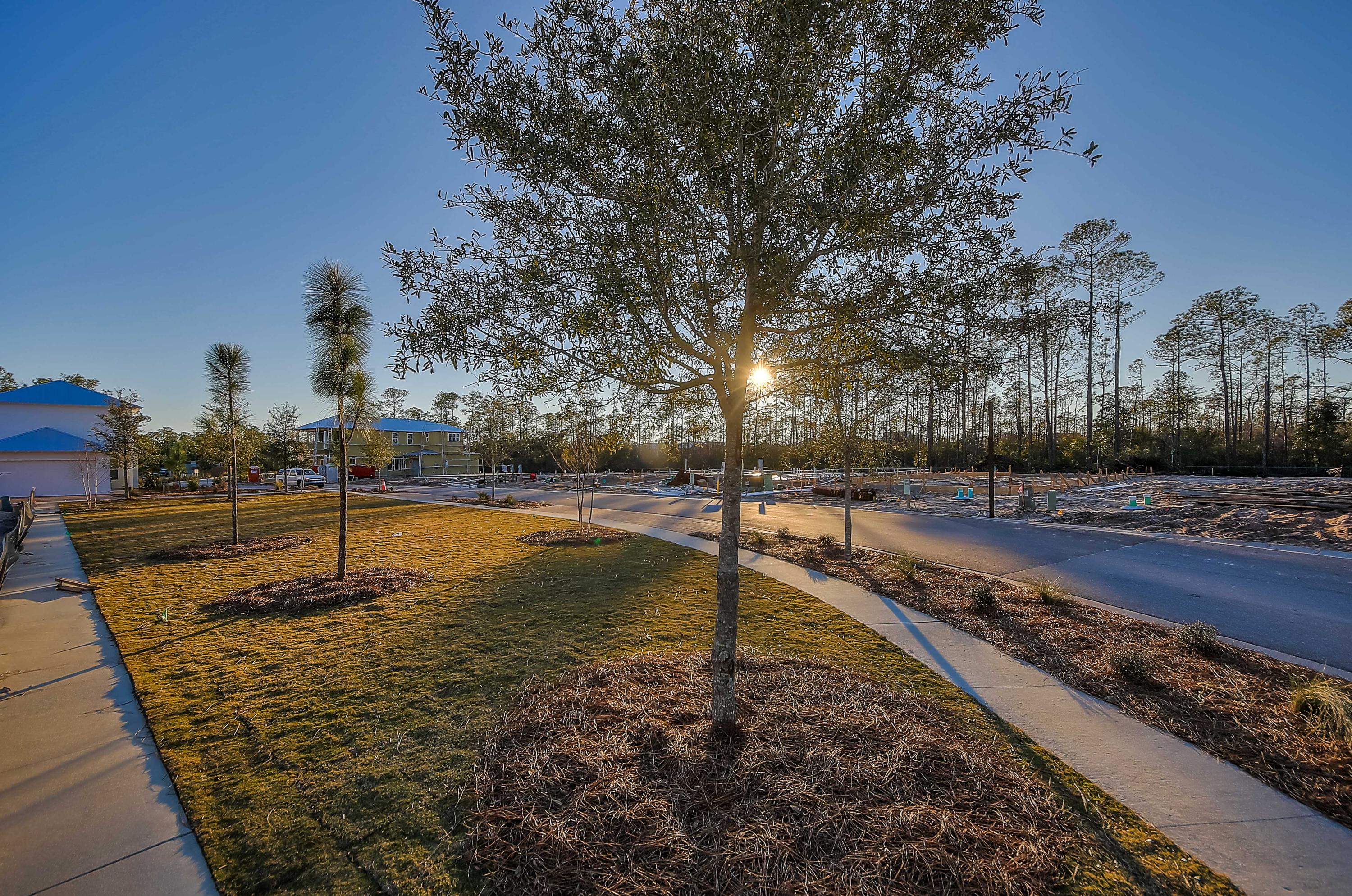 107 Prairie Pass, Unit LOT 238 Santa Rosa Beach, FL 32459 - Photo 4 of 21 Green Space-2