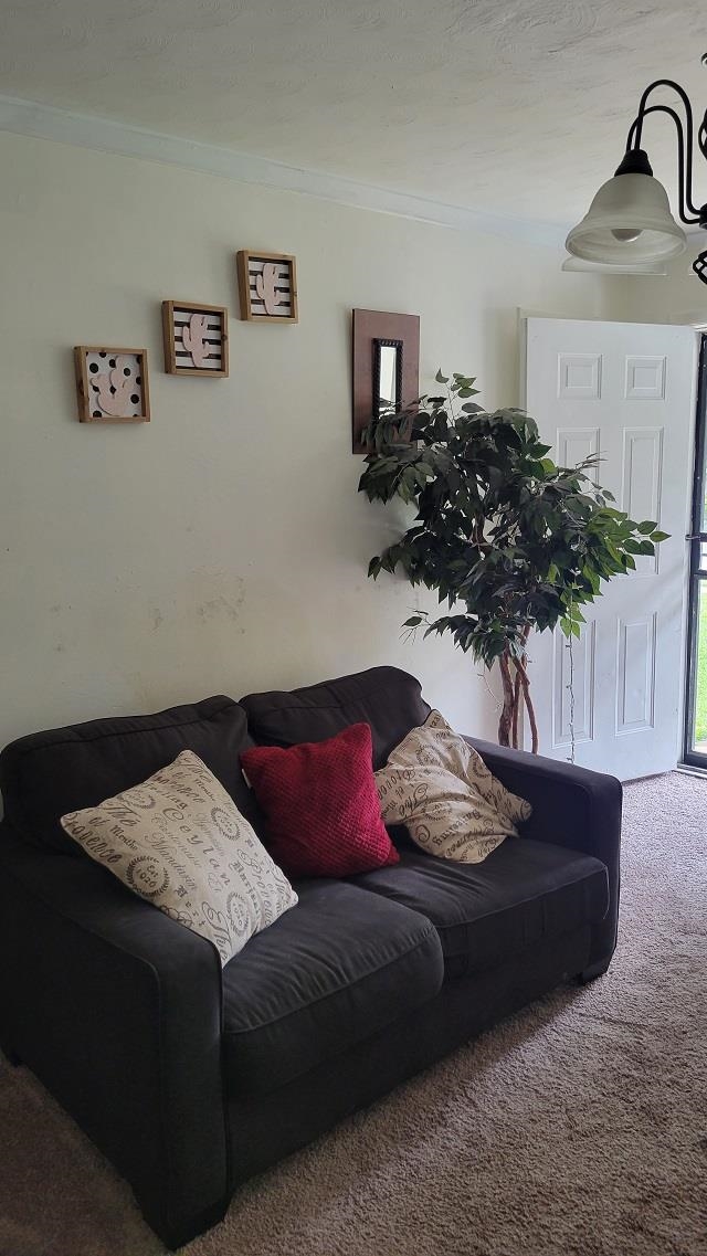 1532 Duke Road Memphis, TN 38108 - Photo 12 of 13 a living room with furniture and a potted plant