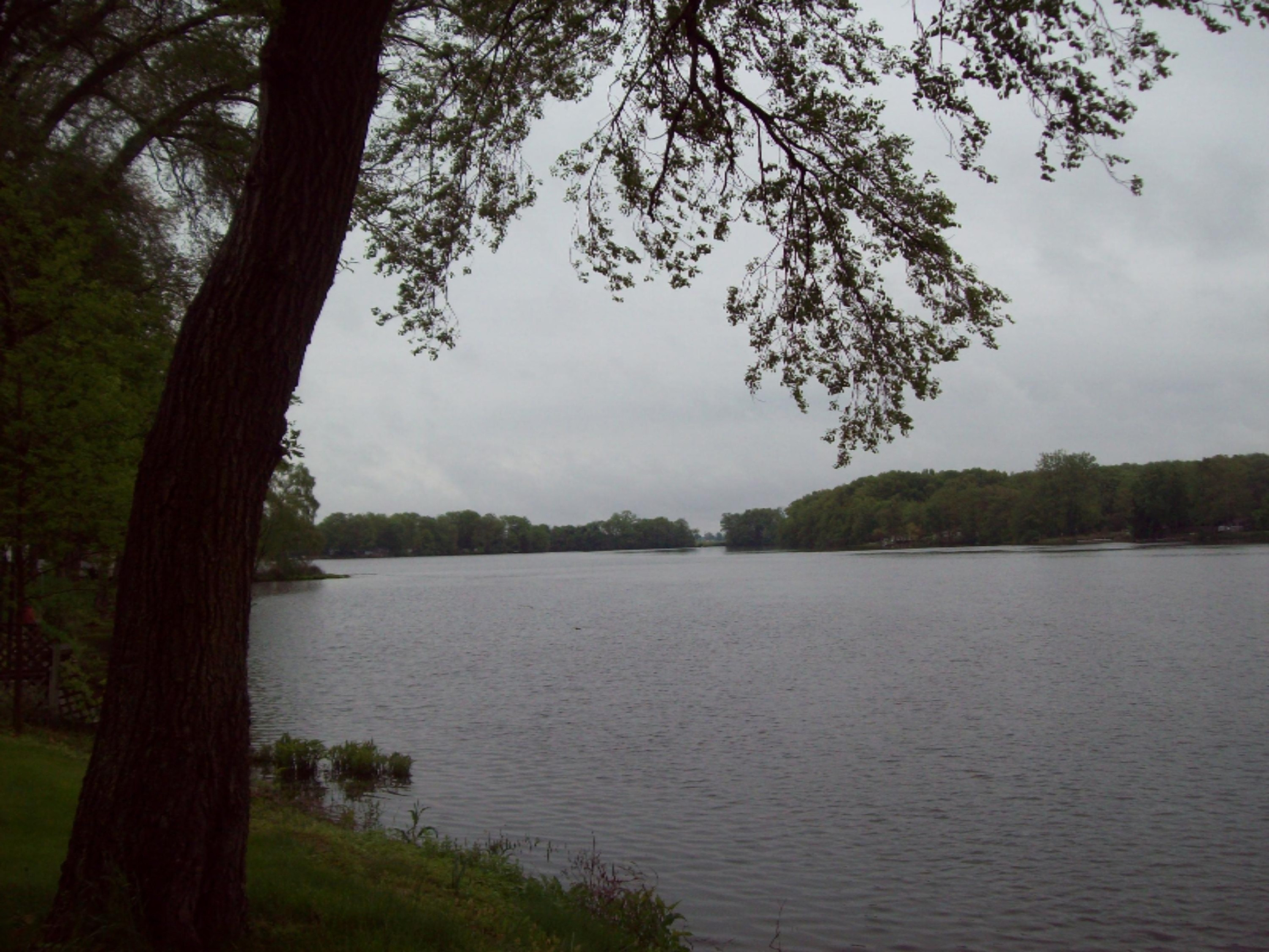 23135 River Run Road Mendon, MI 49072 - Photo 6 of 20 river run 005
