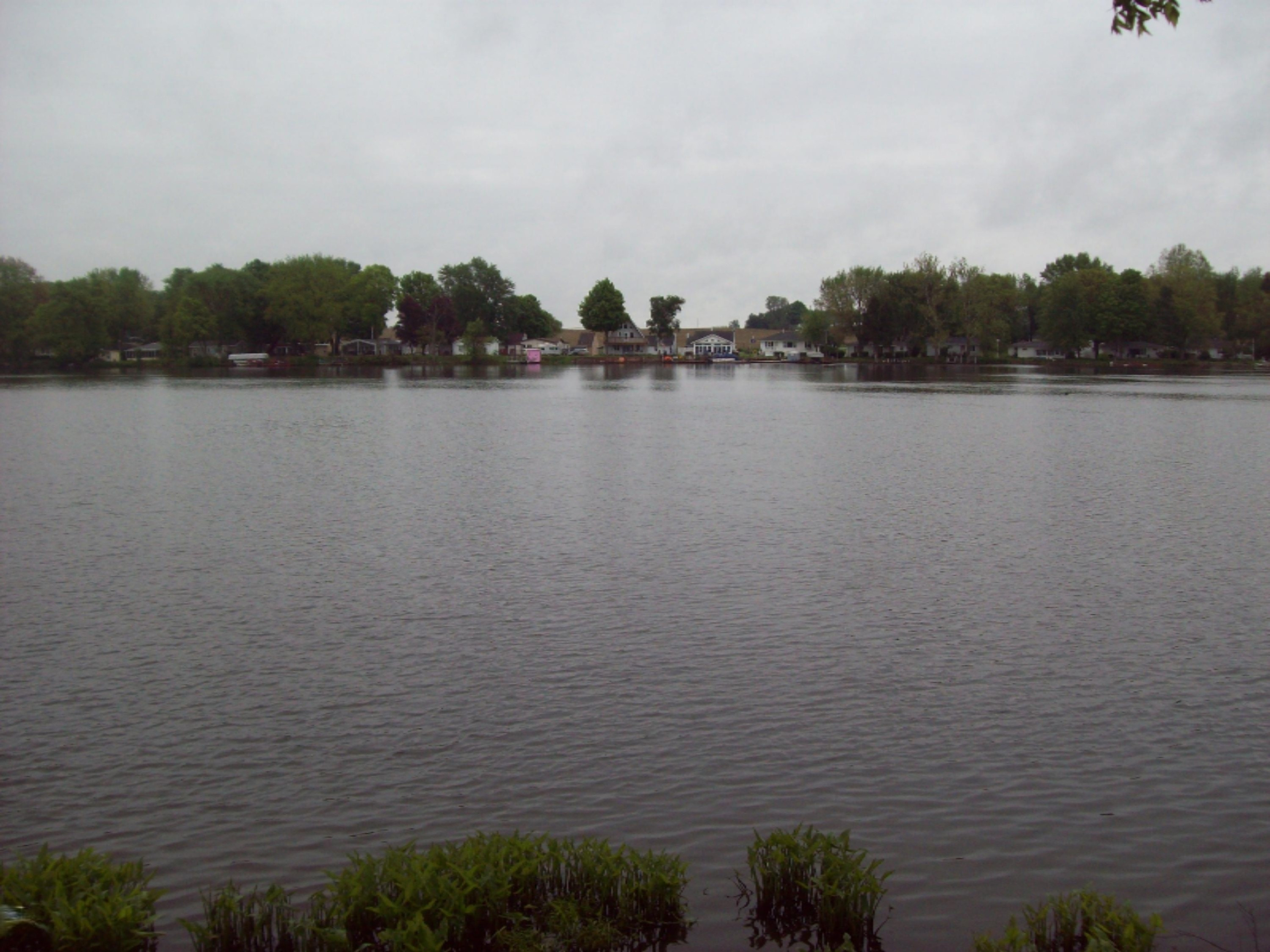 23135 River Run Road Mendon, MI 49072 - Photo 8 of 20 river run 007