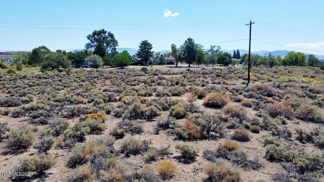 a view of a road with a tree