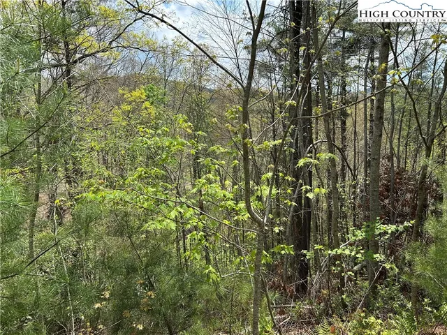 $79,900 | New River, West Jefferson, NC 28694