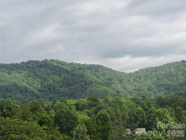 an aerial view of houses covered in trees
