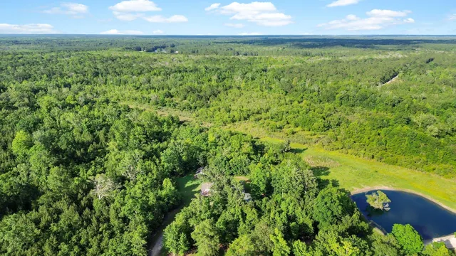 $1,600,000 | 13959 Cottageville Highway, Cottageville, SC 29435