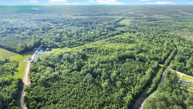 $1,600,000 | 13959 Cottageville Highway, Cottageville, SC 29435