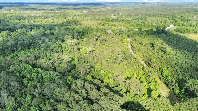 $1,600,000 | 13959 Cottageville Highway, Cottageville, SC 29435