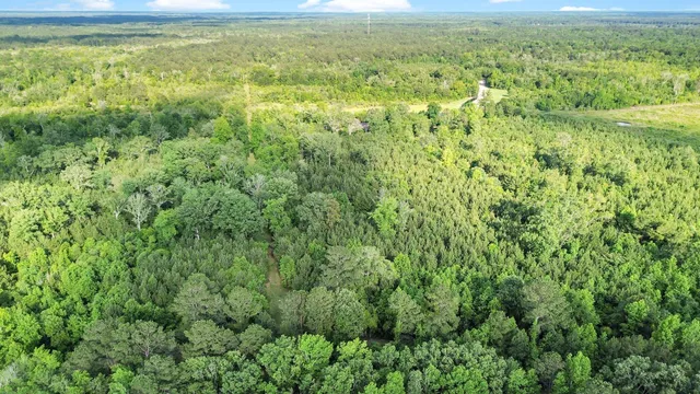 $1,600,000 | 13959 Cottageville Highway, Cottageville, SC 29435