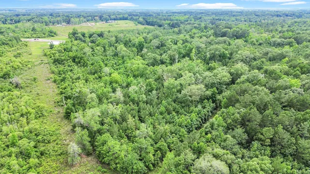 $1,600,000 | 13959 Cottageville Highway, Cottageville, SC 29435