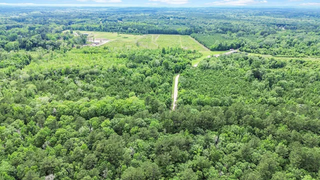 $1,600,000 | 13959 Cottageville Highway, Cottageville, SC 29435