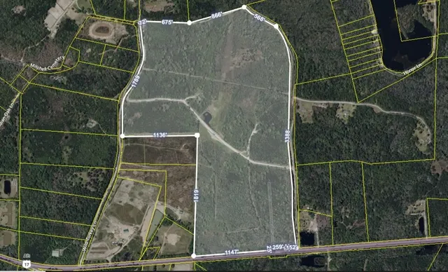 $1,600,000 | 13959 Cottageville Highway, Cottageville, SC 29435