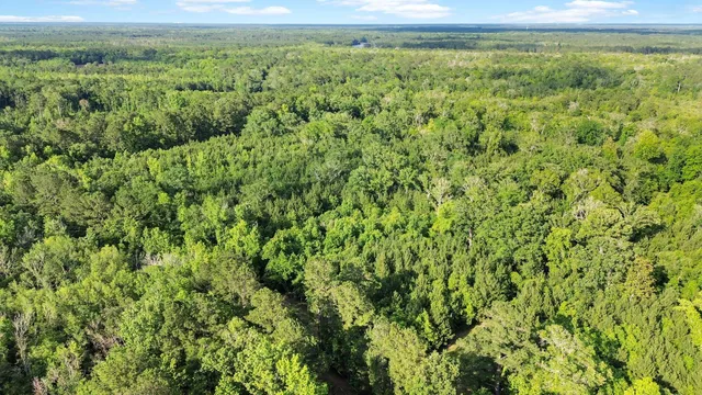 $1,600,000 | 13959 Cottageville Highway, Cottageville, SC 29435