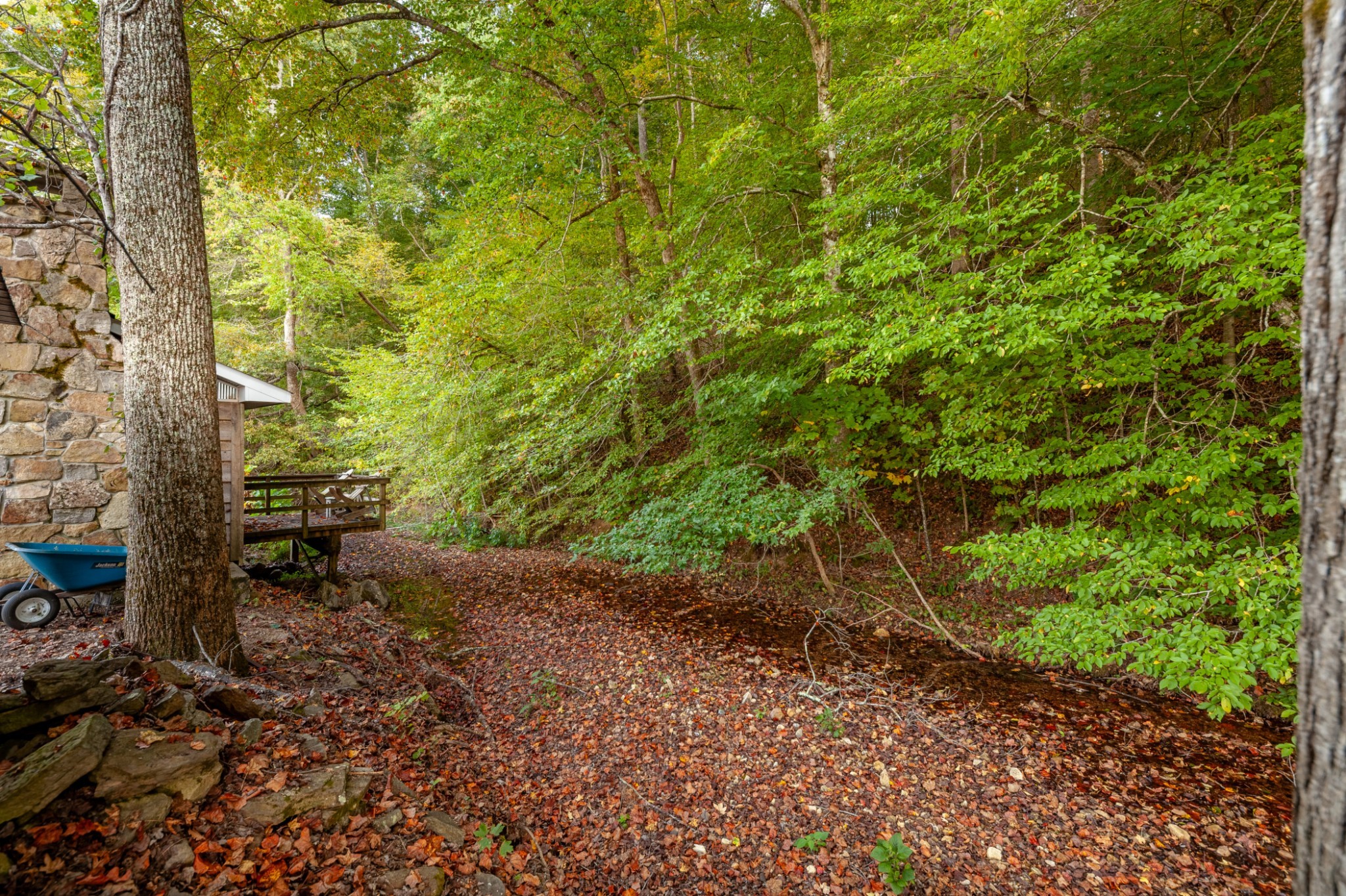 0 Puckett Hollow Road Centerville, TN 37033 - Photo 27 of 53 a backyard of a house with lots of green space