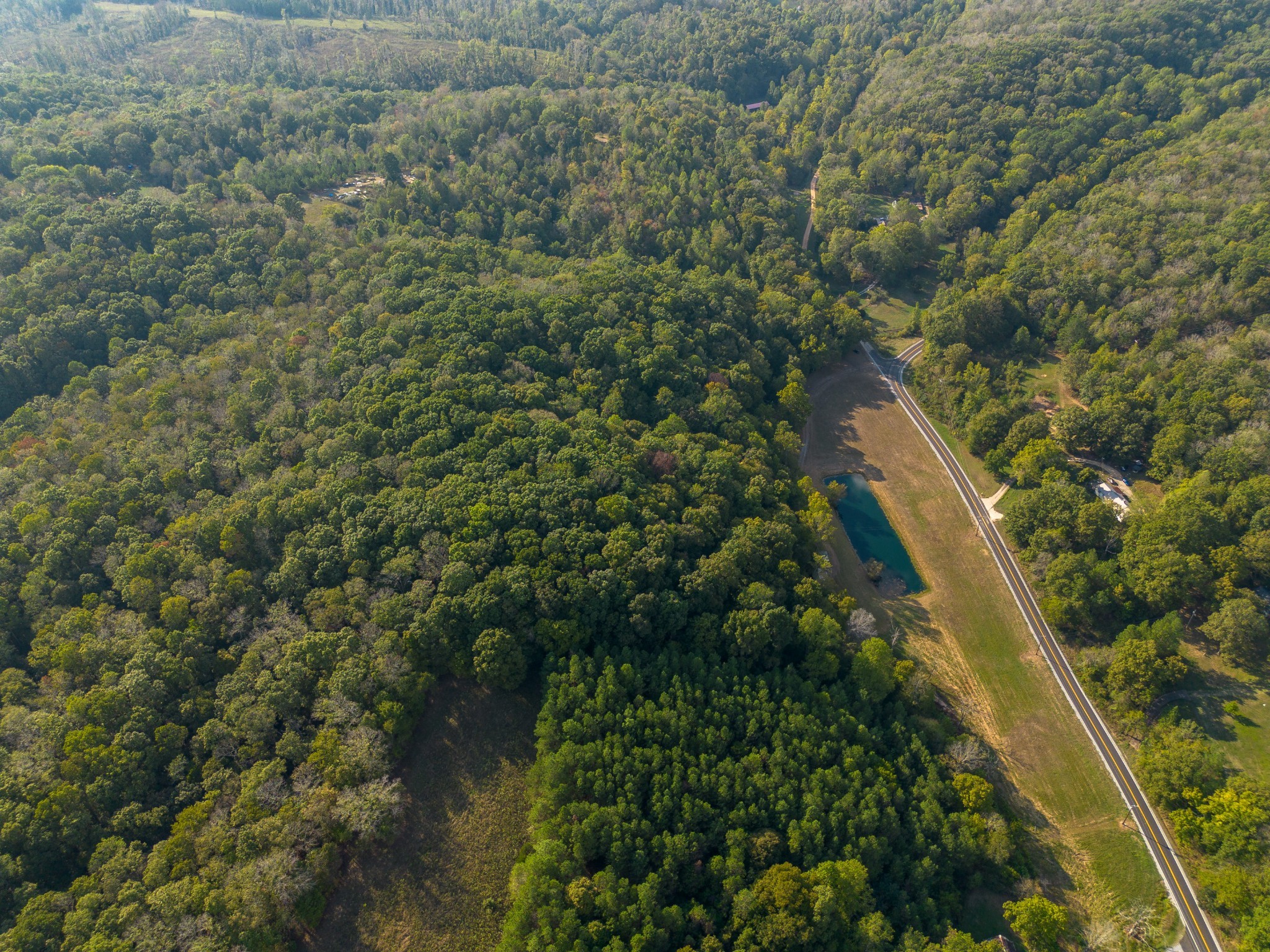 0 Puckett Hollow Road Centerville, TN 37033 - Photo 42 of 53 a view of a forest