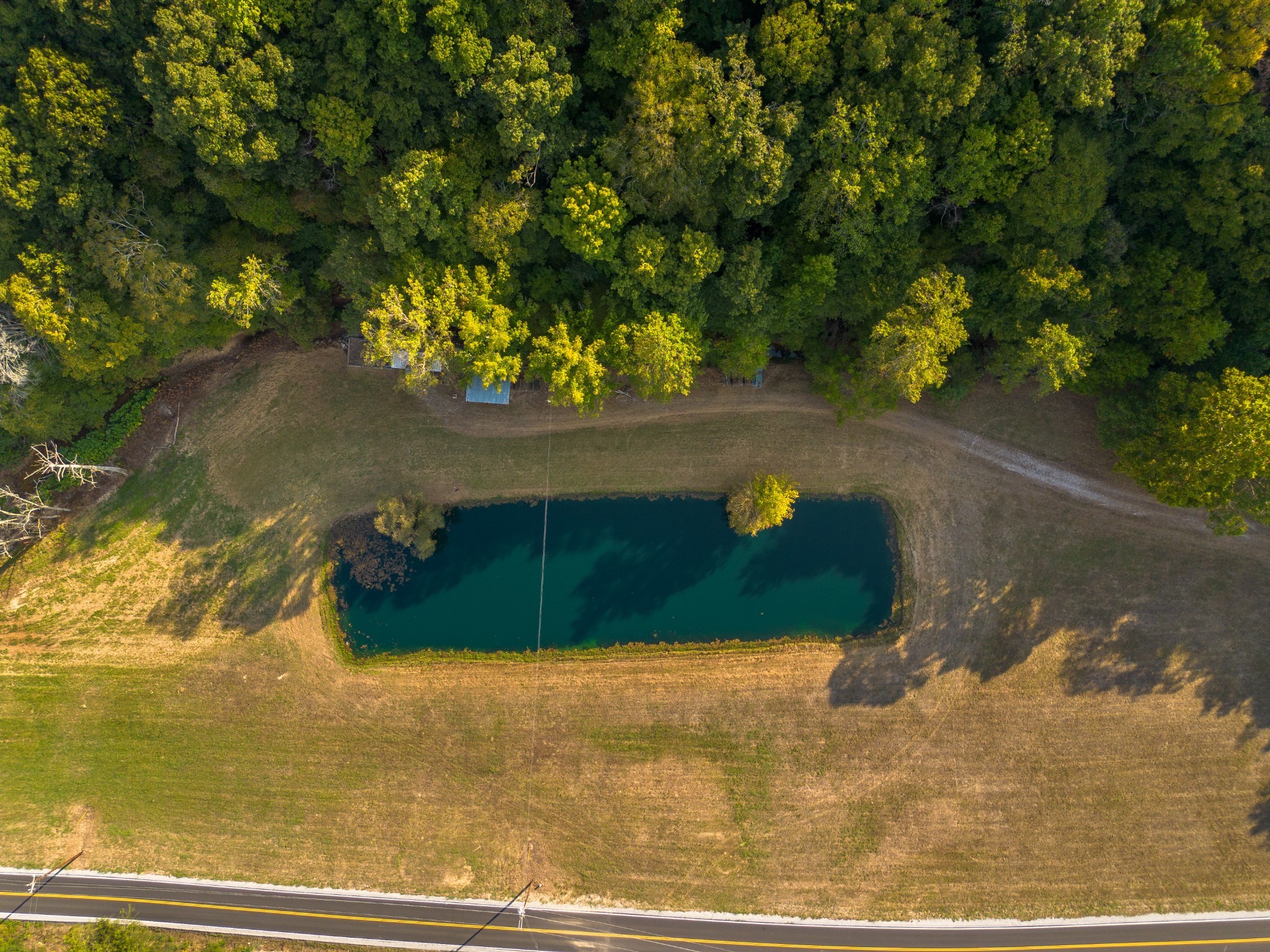 0 Puckett Hollow Road Centerville, TN 37033 - Photo 49 of 53 a view of a lake from a yard