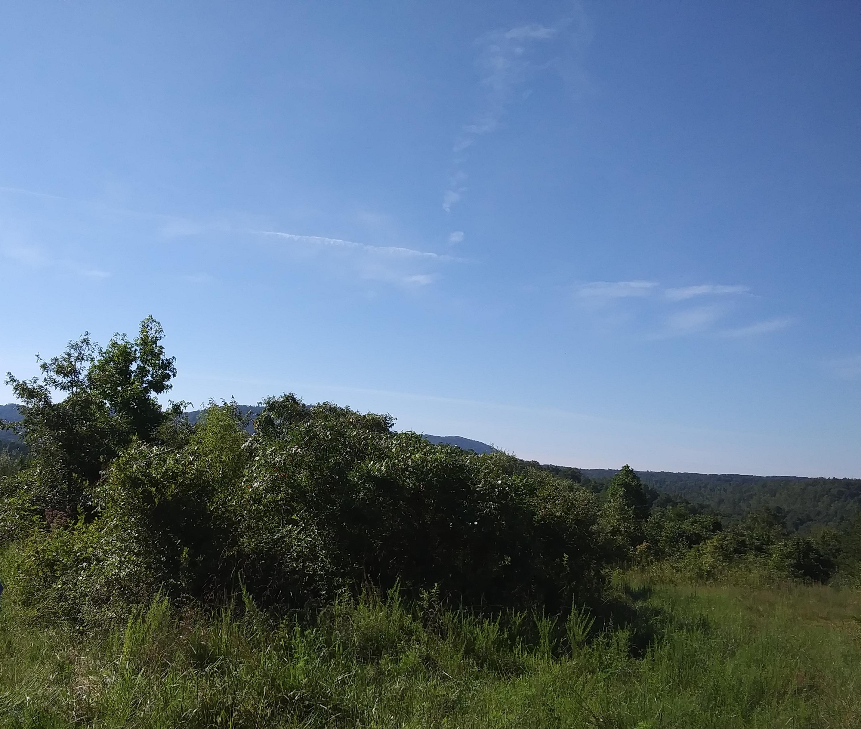 Coalhill Road Sunbright, TN 37872 - Photo 3 of 4 20200817_101415