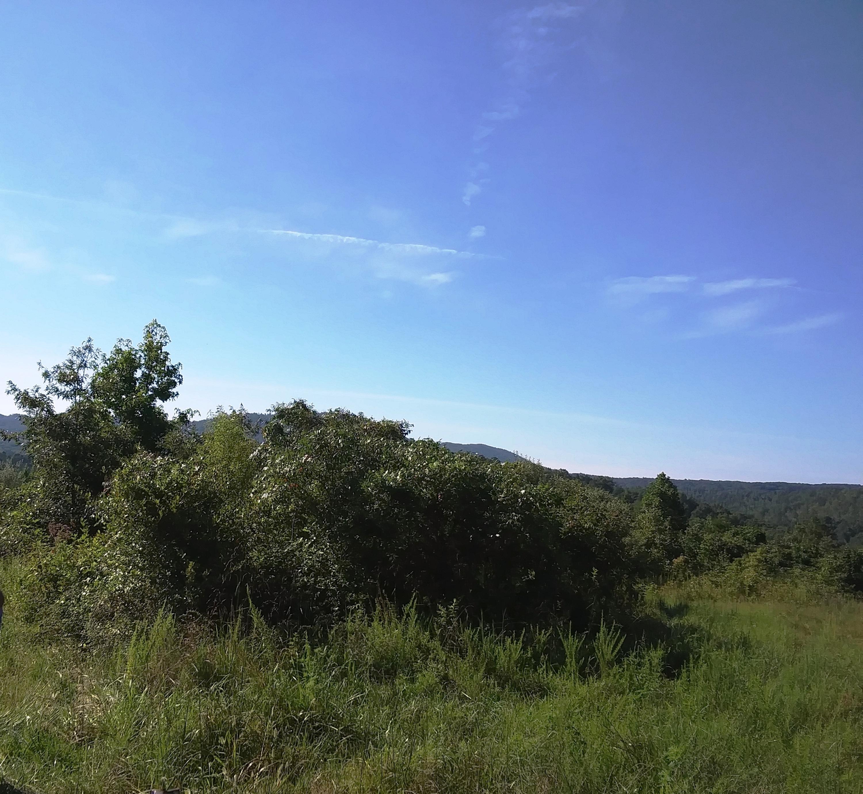 Coalhill Road Sunbright, TN 37872 - Photo 4 of 4 20200817_101416