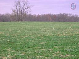 3 Pocahontas Road Morrison, TN 37357 - Photo 1 of 2